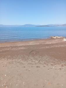 Finikas