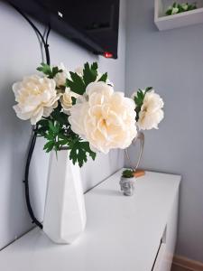 Apartman JakšićS&M