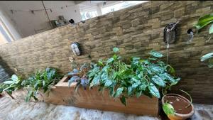 Air Conditioned studio room with complete kitchen
