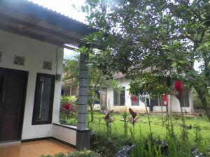 Eko Homestay, Alloggi in famiglia - Banyuwangi