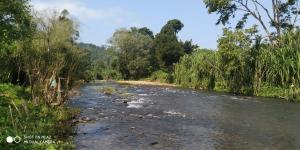 Adhivilla resort