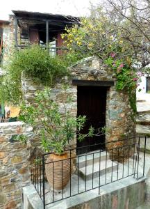 Agapi Kyria Florence stunning artist house island