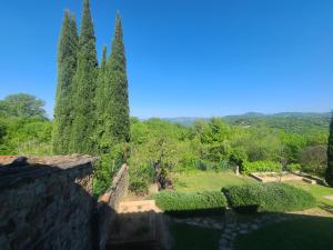 Casa Vacanze Il Cipresso