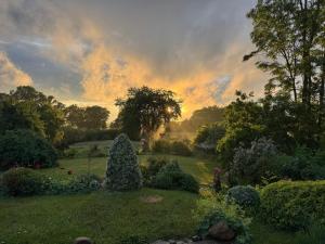 Ferienhaus mit Naturblick