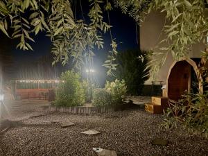 Apartamenty Podlesie