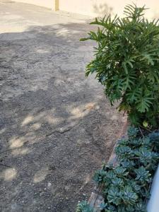 One Bedroomed Apartment - 200 Meters from Manda Hill Mall