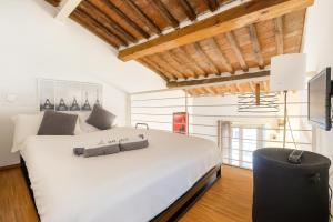 Astra Cinematic Loft -Your cinematic stay in the heart of Pisa