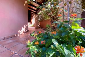 Villa Gianni img56