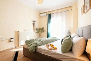 Urban Core Apartment