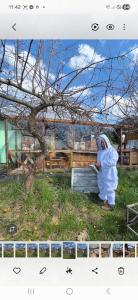 Pszczółka Sielska Agroturystyka w pasiece