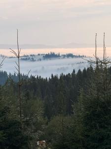 Gliczarowska Panorama Dom na wyłączność widok na Tatry