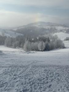 Gliczarowska Panorama Dom na wyłączność widok na Tatry