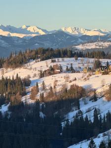 Gliczarowska Panorama Dom na wyłączność widok na Tatry