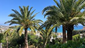 Rancho Miraflores Oasis