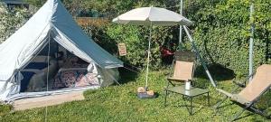 GLAMPING YURTA tents in Rose resort