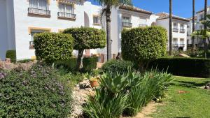 Rancho Miraflores Oasis