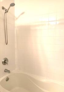 The Treehouse Downtown Toronto Condo!