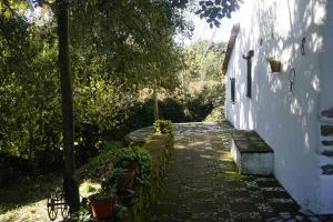 Jardín natural
