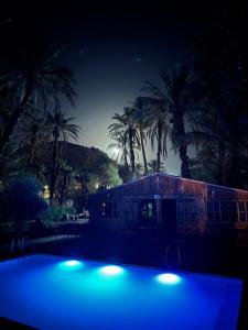 Camping auberge palmeraie damezrou