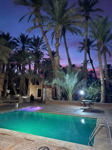 Camping auberge palmeraie damezrou