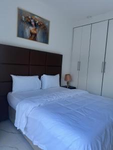 Swiss Luxury Apartment Ndola