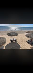 1BR Viento 1603 Encantame Towers