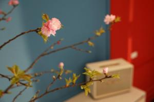 Well-being Home - Self-Service