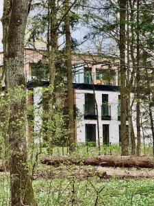 Apartament Nieznany Bór