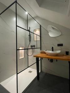 Annecy city center apartment