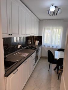 Eric Lux Apartment Central Tg-Jiu