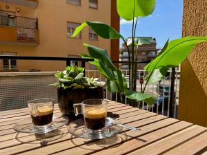 Rome Holiday IL