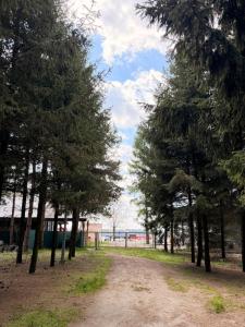 Domki nad Firlejem