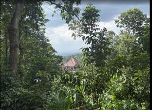 Kilimanjaro Forest Lodge and Camping Site