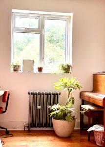 Cozy Guest Room in Vibrant Brighton - Walk to Seafront