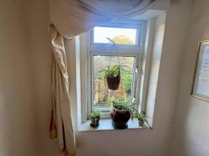 Cozy Guest Room in Vibrant Brighton - Walk to Seafront