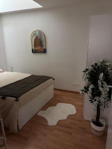 Appartement Quartier Republique 4 personnes