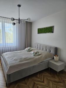 Apartament Black Madonna-Jasna Góra-Centrum