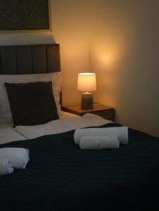 Izerska Baza - basen, ebike, narty, sauna, jacuzzi, las blisko Świeradów Zdrój