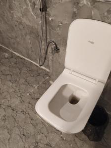 Hotel shree