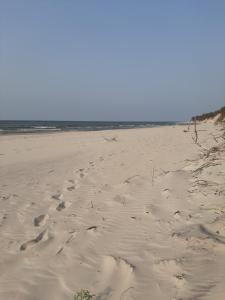 Apartament Pod Orzechem