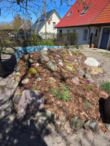 Apartament Pod Orzechem