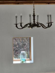 Apartament Pod Orzechem