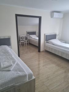 Pensiunea Vis Braila