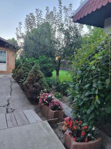 Pensiunea Vis Braila