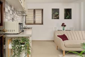 Velvet Jungle - Palas Campus by Seven Stone