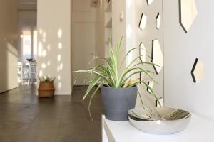 Bellariva Suite