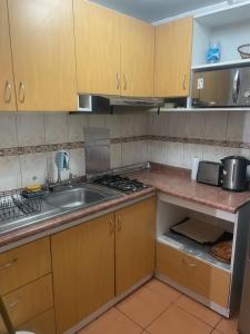 Departamento Amoblado Providencia