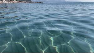 Casa Vera- luminoso bilocale centrale a due passi dal mare