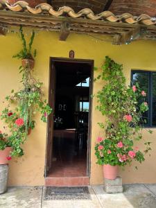 Cabaña el nido del monte