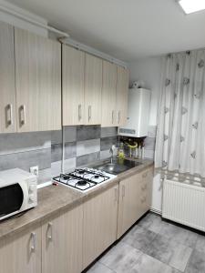 Nicoleta Apartment